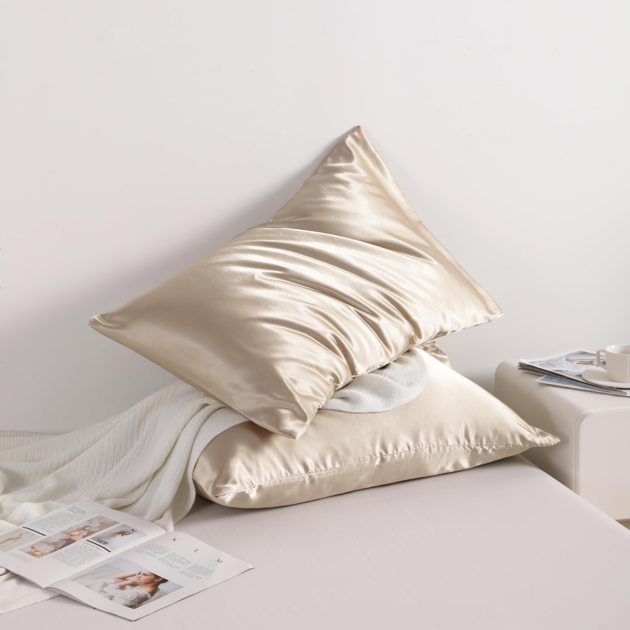 Ntbay 2 Pack Satin Queen Pillowcases For Hair And Skin, Luxurious And Silky Pillow Cases With Envelope Closure, 20X30 Inches, Taupe